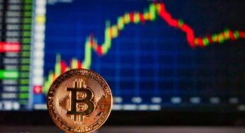 BTC über $100.000: Kostenlose Kryptowährungen für Immigranten: So geht’s!