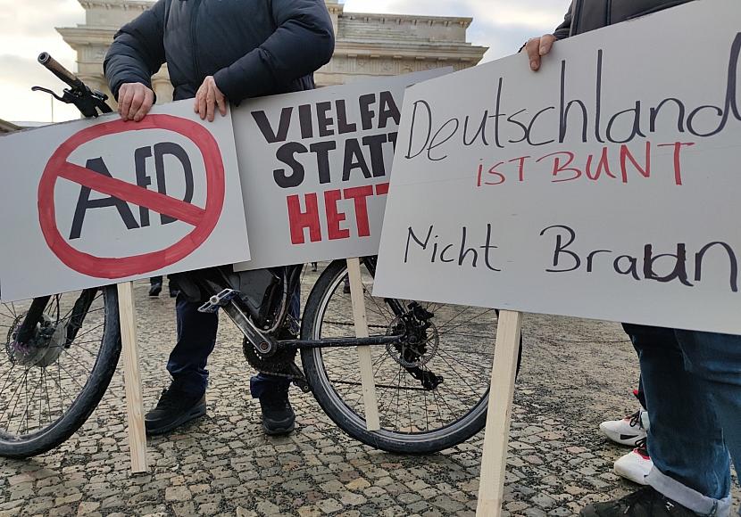 Grüne beharren weiter auf Verbotsverfahren gegen AfD