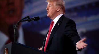 Schamhaar-Bild verbindet Trump mit Pädophilen-Netzwerk