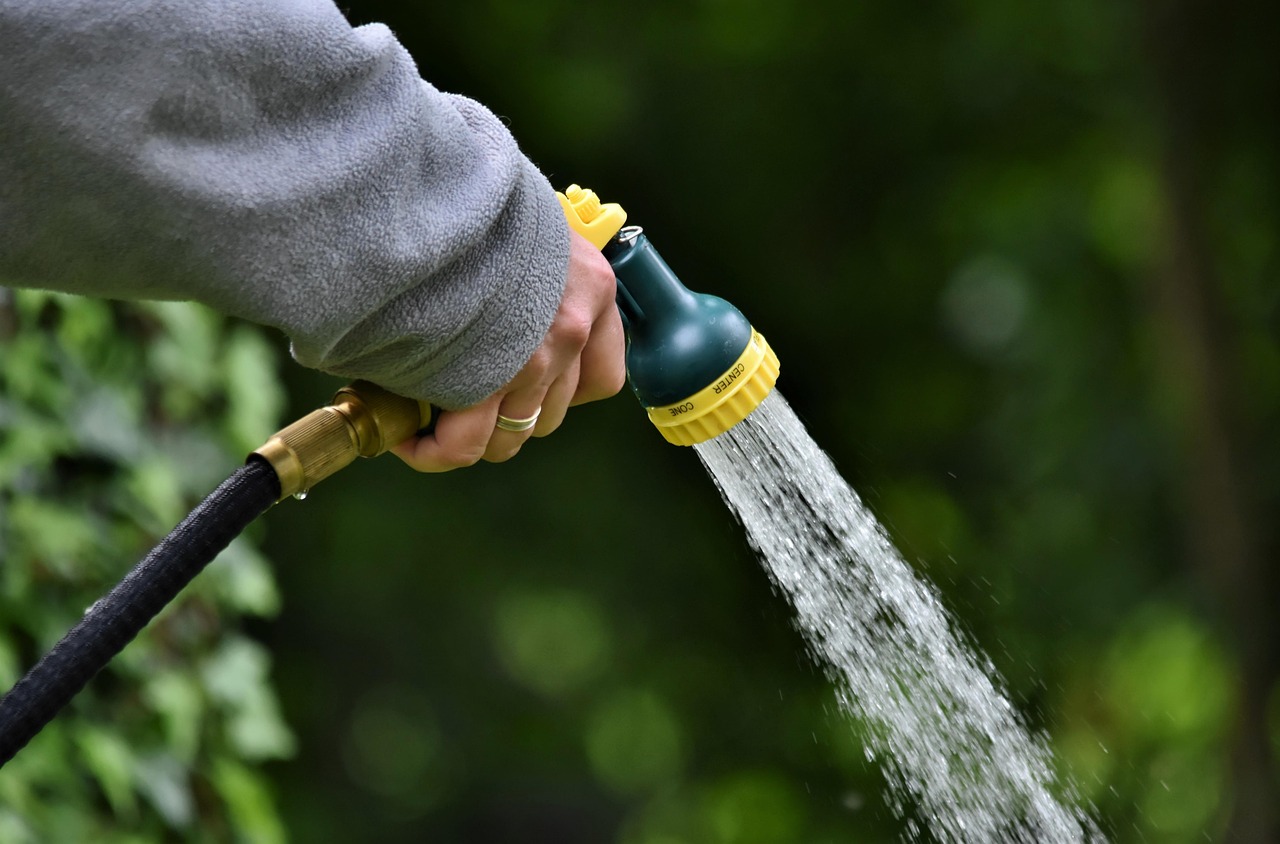 Gießen verboten: Wasserspar-Gesetz für Millionen Deutsche