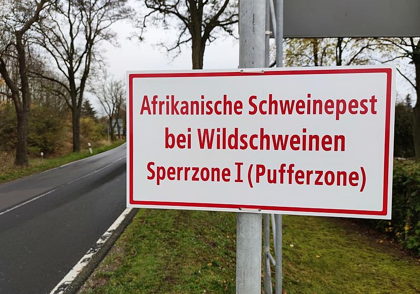 Weitere Schweinepest-Verdachtsfälle in NRW