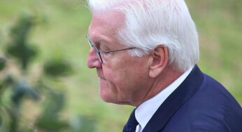 Gericht verurteilt Mann wegen Verunglimpfung des Bundespräsidenten