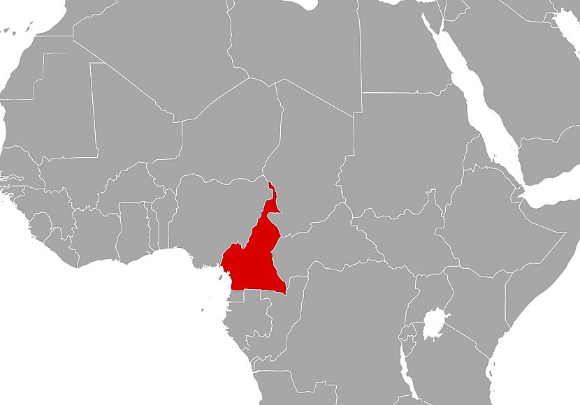 NRC: Kamerun ist am stärksten vernachlässigte Vertreibungskrise