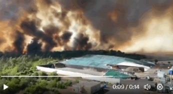 Waldbrände erreichen Berlin