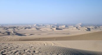 Studie: Wachsende Namib-Wüste gefährdet Unesco-Welterbe Richtersveld