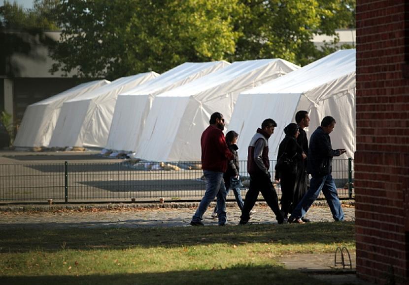 Umfrage: Flüchtlingskrise für viele Treiber des AfD-Erfolgs