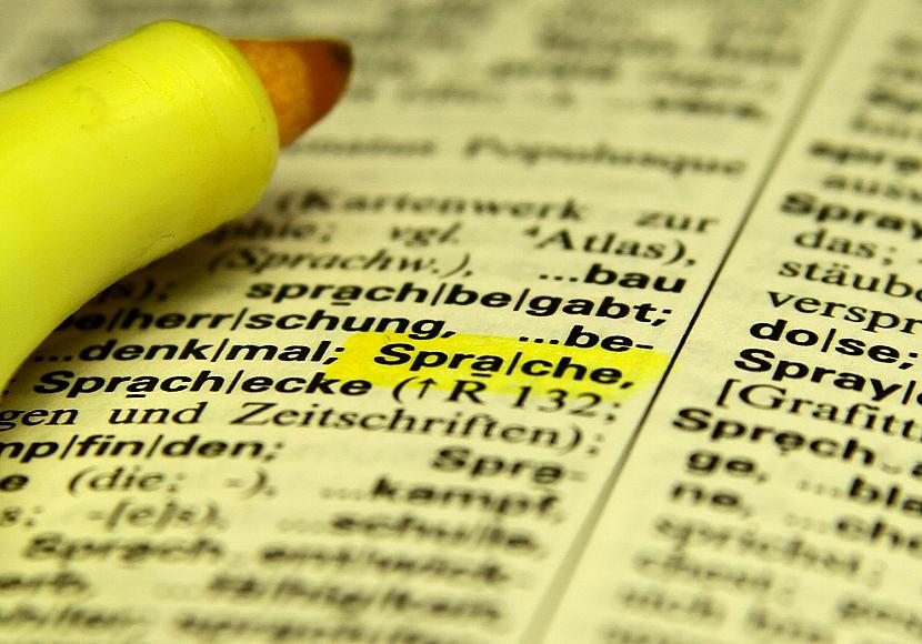 Studie zeigt stagnierende Literalität im deutschsprachigen Raum