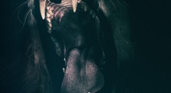 Besucher als Zeugen: Todesopfer nach blutigem Massaker in Zoo