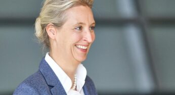 Insa: AfD erreicht neuen Höchstwert in Sonntagsfrage