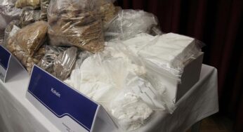 Streeck fürchtet Drogenkrise in Deutschland