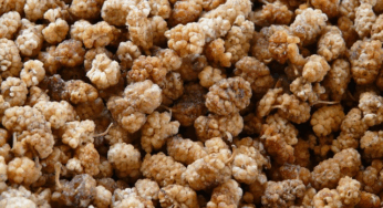 Bundesweiter Rückruf von Trockenobst 