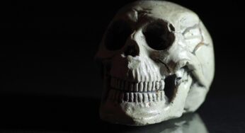 Skandal an deutschem Krankenhaus: Leichen auf furchtbare Art geschändet