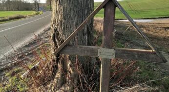 Mehr Tote und Verletzte bei Straßenverkehrsunfällen im November