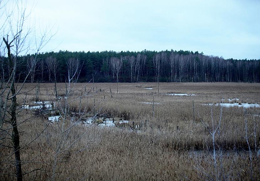 EU-Kommissarin plant Zertifikate für Wiederherstellung der Natur