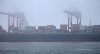 Stärkster Rückgang der Importpreise seit Anfang 2024