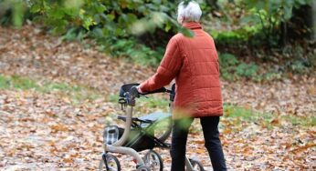 Rente: Linke warnt vor drastischem Anstieg der Altersarmut