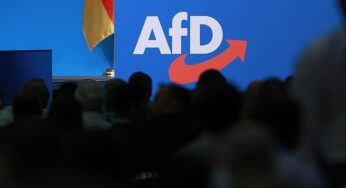 Wirtschaftsverbände diskutieren Ende der “Brandmauer” zur AfD