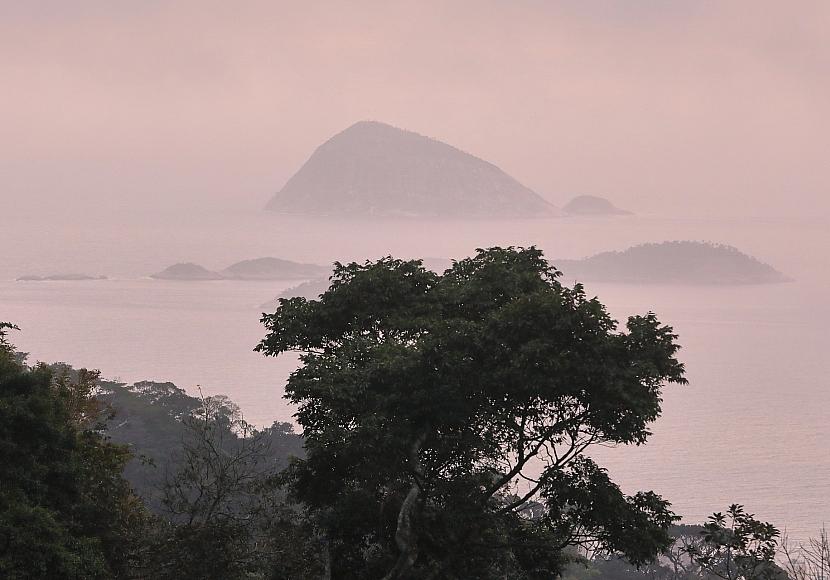 Deutschland stellt eine Milliarde für Tropenfonds bereit