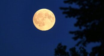 Deutscher soll zum Mond fliegen