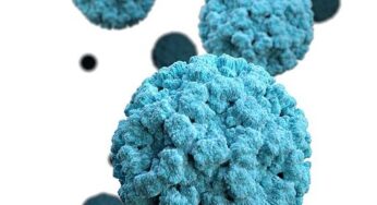 RKI warnt: In Deutschland wütet ein mutiertes Virus