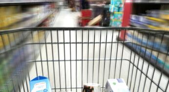 EU lockert Gentechnik-Regeln