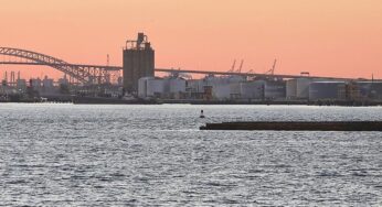 Trump telefoniert mit Xi über Weltlage und Handel