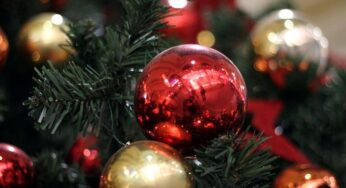 Mehrheit will sich zu Weihnachten nicht mit KI beschäftigen