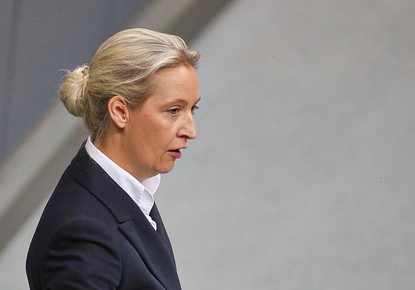 CDU und Grüne kritisieren Weidel für Verfassungsschutz-Aussage