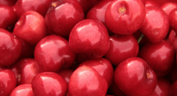 Aldi und Lidl verdoppeln Preise