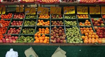 Landwirtschaftliche Erzeugerpreise im November gesunken