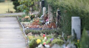 Lebenserwartung in Westeuropa driftet zunehmend auseinander