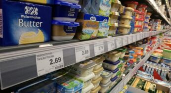 Justizministerin begrüßt Vorschlag für „Deutschland-Korb“