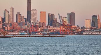 Grüne fordern entschlossene Antwort auf Trumps Zolldrohung