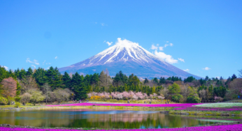 Japan verlangt bald elektronisches Einreisevisum