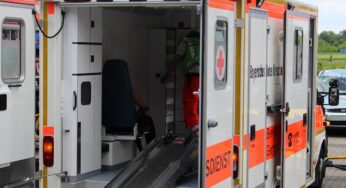 Behörden alarmiert: Hochgefährliches Virus auf Rekordniveau in deutschem Nachbarland
