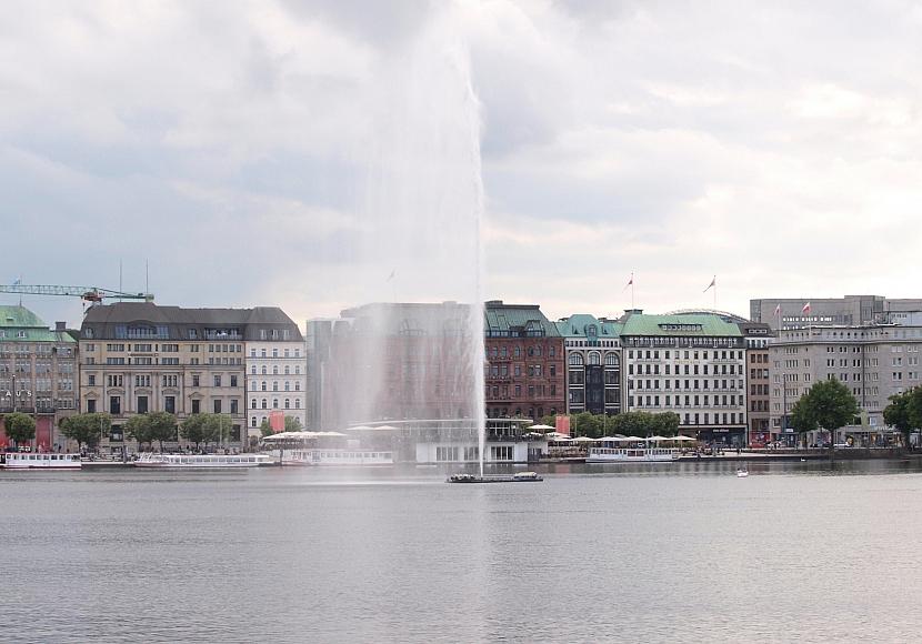 Erster Wolfsangriff in Deutschland seit Wiederansiedlung