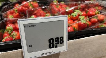 Studie: Mehrwertsteuererhöhungen treffen Geringverdiener stärker