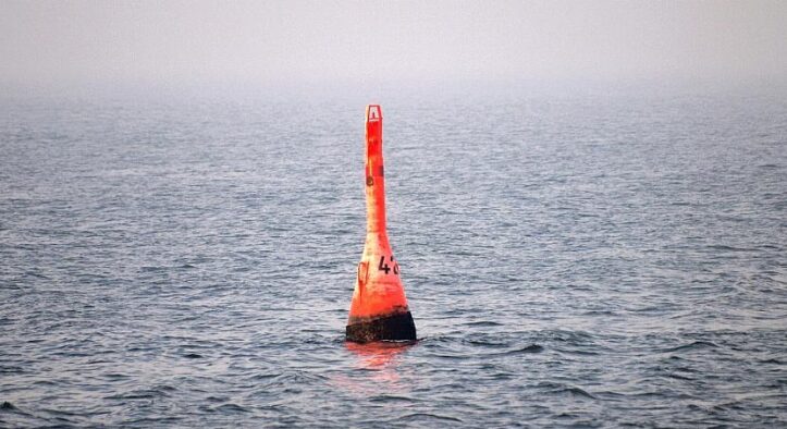 Mehrheit sorgt sich um den Wal in der Ostsee