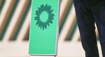 Grünen-Mitglieder kündigen Widerstand gegen Satzungsreform an