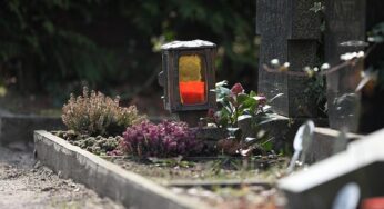 Sterbefallzahlen während Hitzewelle im Juni stark erhöht