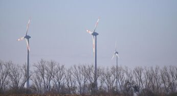 SPD kritisiert Reiche-Pläne als „Killer für Erneuerbaren-Ausbau“