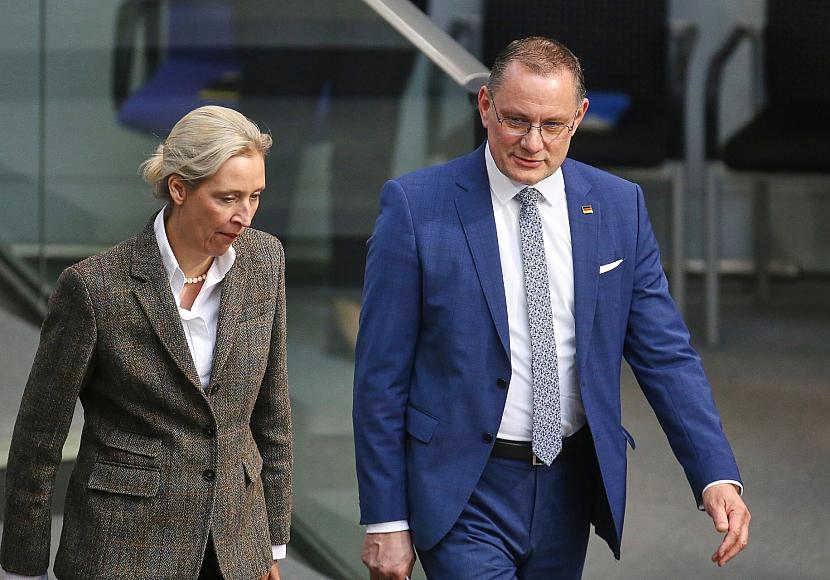 AfD laut Insa wieder stärkste Kraft