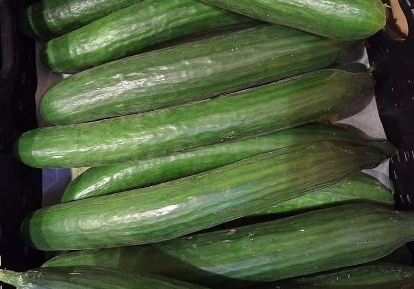 DGB befürwortet Streichung von Mehrwertsteuer auf Lebensmittel