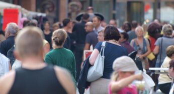 Umfrage: Deutsche gespalten über privaten Walrettungsversuch