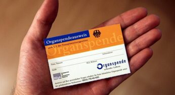 Patientenbeauftragter wirbt für Widerspruchslösung bei Organspende