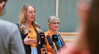 Grüne legen Gegenkonzept zu Warkens Gesundheitsreform vor