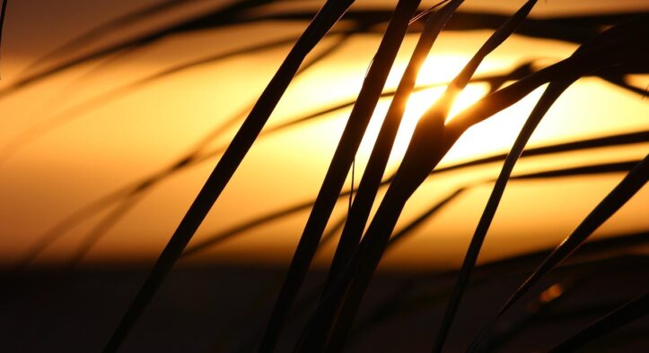 Mehrere Todesfälle: Reisegigant TUI unter Druck