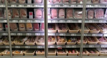 Weniger schweinehaltende Betriebe – aber mehr Schweine