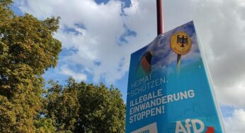 Umfrage: AfD in Mecklenburg-Vorpommern vorn – CDU stürzt ab