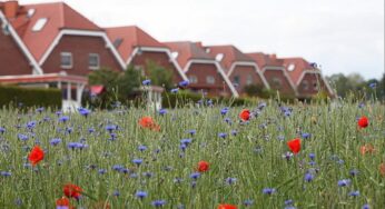 US-Investoren betreten deutschen Markt für Einfamilienhäuser
